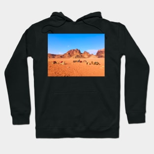 Camels in Desert Hoodie